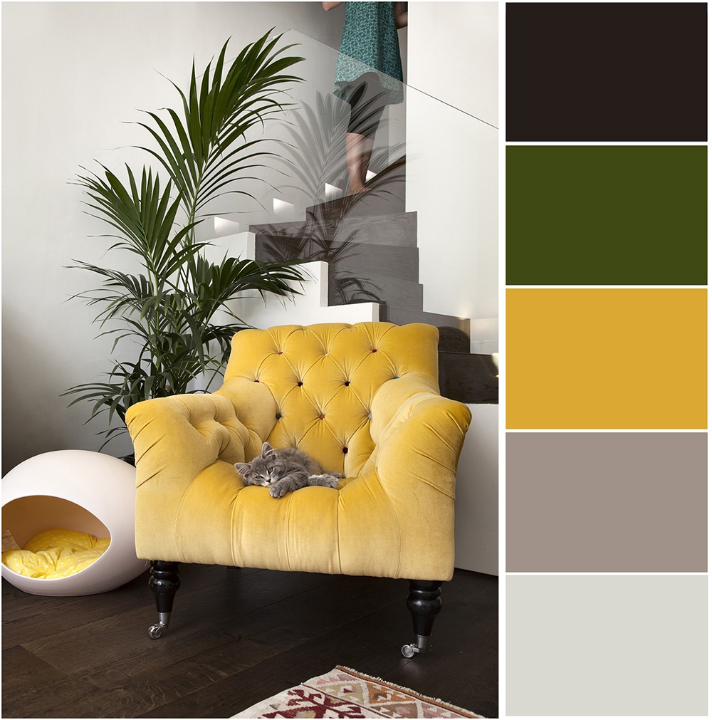 Farbe im Innenraum – goldene Akzente in der Wohnung