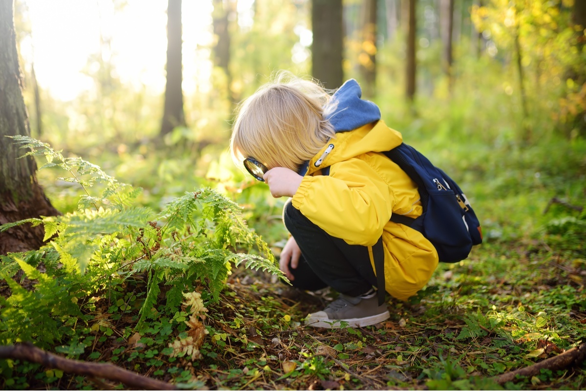 Как приучить ребенка к экологическим привычкам?
