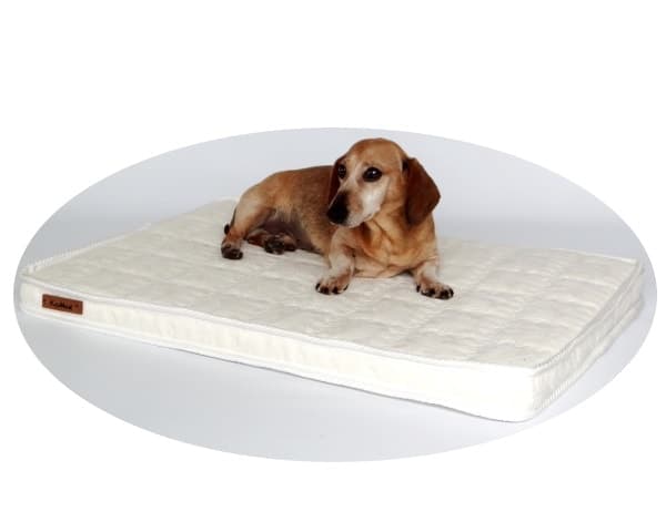 Apa itu tempat tidur anjing ortopedi?