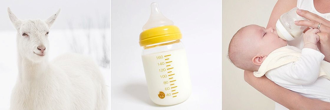 Lait de suite et lait junior - quelle formule choisir après l'allaitement ?