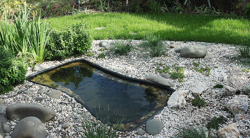 Пруд: как сделать? Сколько стоит построить пруд в саду?
