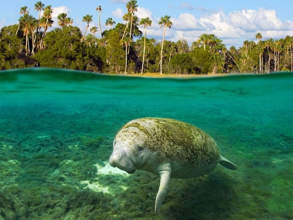 10 najboljih slikovitih mjesta na Floridi