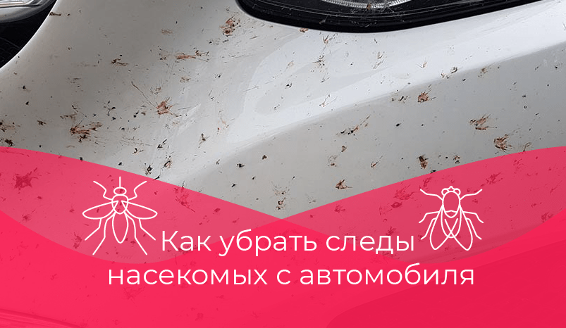 Si të hiqni njollat ​​e insekteve nga makina juaj