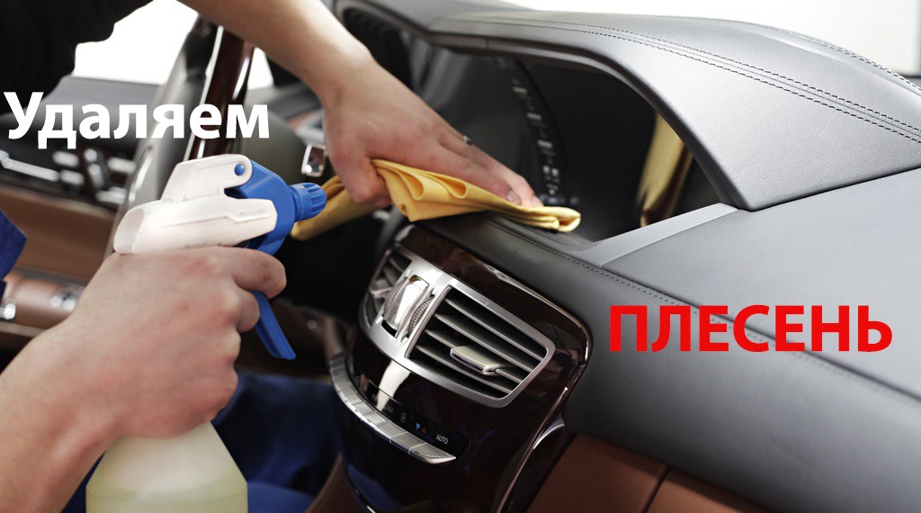 Kako ukloniti miris plijesni iz automobila