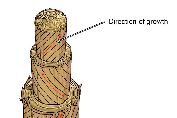 Что такое текстура древесины?
