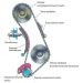Do-it-yourself replacement of the timing chain damper VAZ 2107