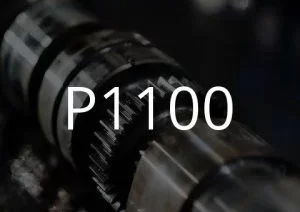 Popis chybového kódu P1100.