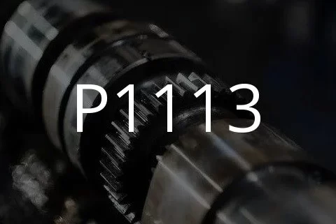 Problēmas koda P1113 apraksts.