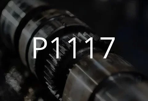 شرح کد مشکل P1117.
