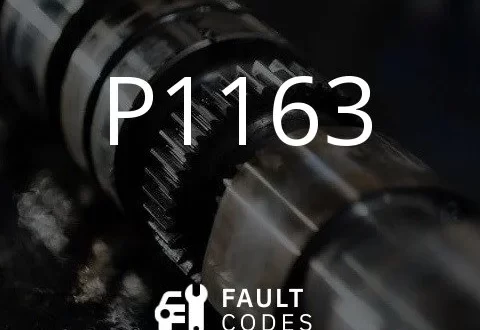 P1163 फॉल्ट कोडचे वर्णन.