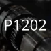 Popis chybového kódu P1202.