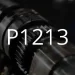P1213 फॉल्ट कोडचे वर्णन.