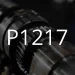 وصف رمز المشكلة P1217.