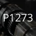 Апісанне кода няспраўнасці P1273
